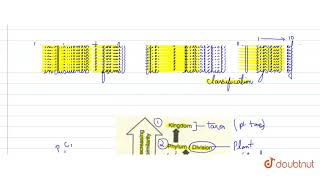 Mention sevel categories of hierarchical classification [upl. by Viveca]