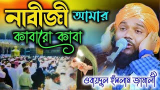 নাবীজী আমার কাবারো কাবা┇9734312470┇obaidul islam jalsa┇ওবায়দুল ইসলাম┇murshidabad abdullah┇jalsa [upl. by Raman708]