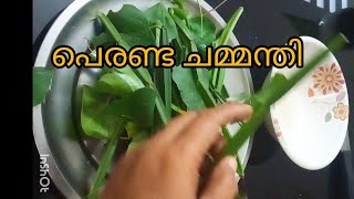 Changalamparanda chammanthiparandai recipemalayalamfoodchat [upl. by Ammadas]