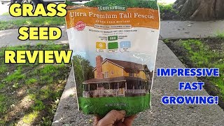 Groundwork Grass seed review Impressive [upl. by Leahcimsemaj995]