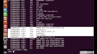 SecurityTubenet Writing an Custom Insertion Encoder [upl. by Lotty460]