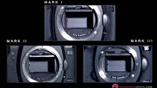 Slow Motion Canon 5D Mark I II and III Shutter Actuation Comparision  WaveBreak Media [upl. by Aloke]