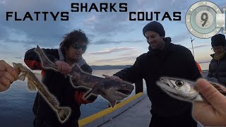 COUTAS amp FLATTYS  DRAUGHTBOARD SHARKS  FROM THE VAULT 9 [upl. by Brynna103]