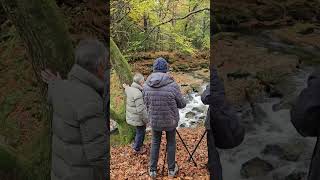 Tollymore Autumn Photography Tour Northern Ireland  sunset outdoorphotography autumn [upl. by Keffer]