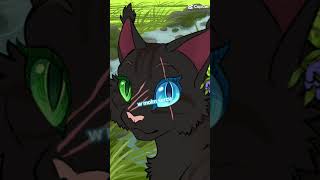 Tydzień shipu Szary x Czarna Łodyga 57 catwarriorclub catswarrior cat music warriorcats [upl. by Cerell331]