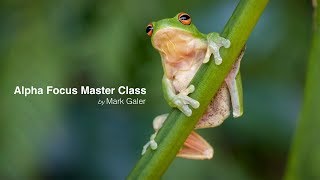 Sony Alpha Focus Masterclass [upl. by Carman624]