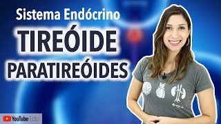 Tireóide e Paratireóides Sistema Endócrino [upl. by Dorree330]