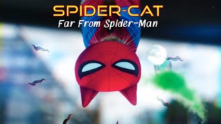 SpiderCat Far From SpiderMan [upl. by Atilamrac]