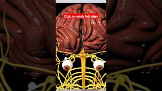 gabica 300 mg side effects in urdu shorts [upl. by Eidoc]