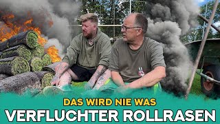 Dumm amp Dümmer verlegen Rollrasen  Udo amp Wilke [upl. by Assennav728]