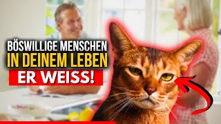 Ihre Katze versucht Ihnen eine Nachricht zu senden – hören Sie zu [upl. by Uamak65]