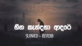 Heena Kandana Adare  Slowed and Reverb  හීන කැන්දනා ආදරෙ  Nolabena Senehe  Heena Kandana Adare [upl. by Schaaff961]