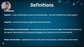 271  Meiosis Diploid vs Haploid [upl. by Inalem]