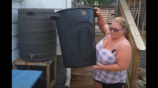 DIY Rain Barrel Setup for purchased and Homemade Rain Barrel [upl. by Lana]