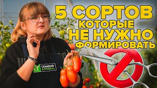 ТОМАТЫ БЕЗ ХЛОПОТ ИХ НЕ НУЖНО ФОРМИРОВАТЬ ТОП5 ПОМИДОРОВ ДЛЯ 2022 [upl. by Rraval480]