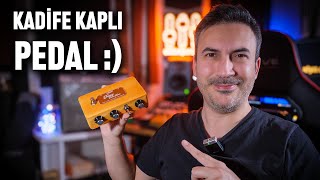 WARM AUDIO FOXY TONE BOX FUZZ PEDALI İNCELEMESİ [upl. by Adohr159]