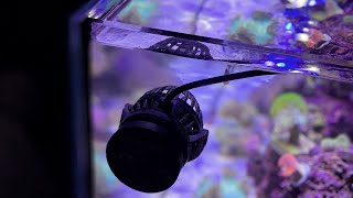 4 Pieces of Equipment Every Nano Reef Tank Needs [upl. by Tioneb]