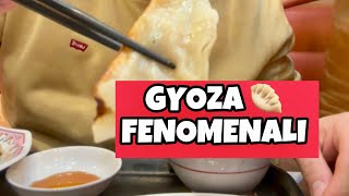 Gyoza fenomenali in Giappone [upl. by Airotkiv499]