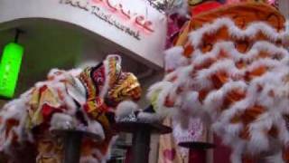 Chinese New Year Tiger Dance 舞虎 [upl. by Nerrawed119]