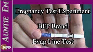 Pregnancy Test Experiment  Evap Line Test  BFP Brand [upl. by Thenna]