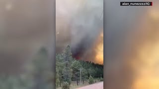 Cattle evacuated in Ruidoso New Mexico wildfire [upl. by Isolde]