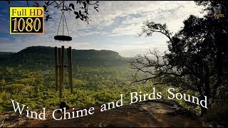 Wind Chimes and Birds  Relaxing Nature Sound  SleepStudyWorkMeditation  3 hours [upl. by Yun]