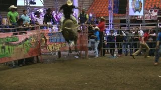 ¡SE JUEGAN LA VIDA EN LA RULETA LOS TOROS DIVINOS Y HACIENDA MARAVATIO MORELIA 2017 [upl. by Laure]