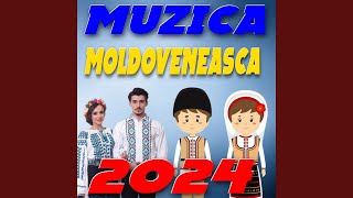 Hituri de Petrecere 2024 Moldovenesti [upl. by Anelec]