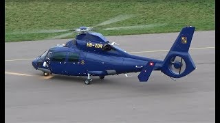 Luxurious Eurocopter Airbus Helicopter AS 365 N3 Dauphin HB ZDR  LFSN Nancy Essey airport [upl. by Ettenel]