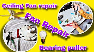 Ceiling fan bearing replacement  Ceiling fan bearing puller 🛠 cellingfanrepair cellingfan [upl. by Ermeena]