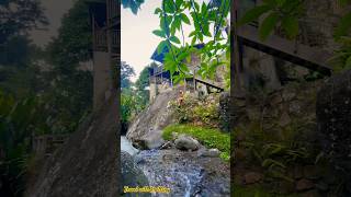 Airbnb with WATERFALLS in the backyard 😱  Jamaica 🇯🇲 travel jamaica travelvlog shorts [upl. by Enived]