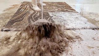 Washing a shaggy rug with different pile lengths  pressure washing  carpet cleaning satisfying [upl. by Ggerg]