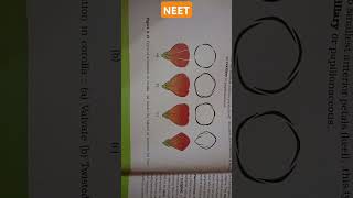 MORPHOLOGY OF FLOWERING PLANTS aestivation types corollaValvateTwisted ImbricateVexil neet [upl. by Norword70]