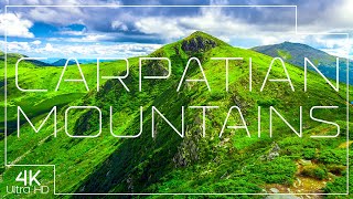 Carpathian Mountains in 4K ⛰️ Beautiful European wilderness [upl. by Anirba793]