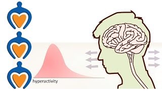 ADHD  What is it and whats the difference with ADD [upl. by Esilenna]