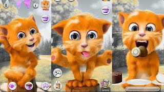 Talking Ginger Cat funny game 🍐🍒🍕🐠🍉🍊🧅🥞🥨🍑 talkingtom gameplay viralvideo [upl. by September]