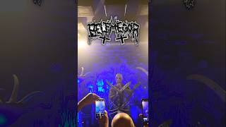 Belphegor  Live in Poznan Poland 🇵🇱 belphegor deathmetal blackmetal poland [upl. by Atiuqaj931]