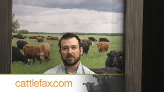 CattleFax Closing Bell Beef Export Outlook – July 5 2024 [upl. by Leta208]