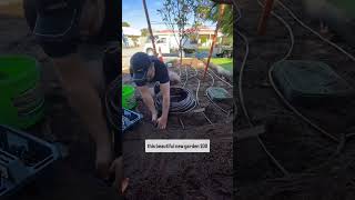 Subsurface drip irrigation installation in Perth Western Australia [upl. by Nalra910]