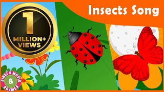 Insects Song for kids  Toddler Rhymes  Educational Songs  Bindis Music amp Rhymes [upl. by Atteuqehs]