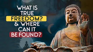 Buddhism What is True Freedom [upl. by Loralee130]