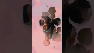 rottei big dog rottweiler 2024 rotwelier pitbull rottweil doglover shorts funny [upl. by Alithea]