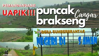 Review jalan puncak brakseng full sampai mentok pakai mobil [upl. by Ashla]