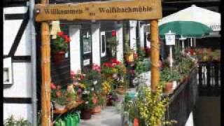 Urlaub im Oberharz im Waldgasthaus Wolfsbachmühle  90 GRAD die Band [upl. by Aremmat]