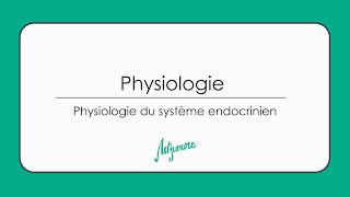 Tutorat physiologie  Physiologie du système endocrinien [upl. by Aiyt]