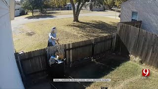 Postal Worker Allegedly Pepper Sprays Dogs Caught On Video [upl. by Aihset]