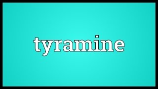 Tyramine Meaning [upl. by Assilana190]