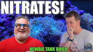 Managing NITRATE Levels In You Saltwater Aquarium  Newbie Tank Build [upl. by Swec]