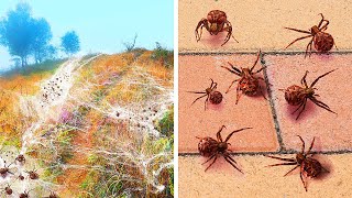 18 Endroits Où La Terre Agit De Façon Mystérieuse [upl. by Beverle]