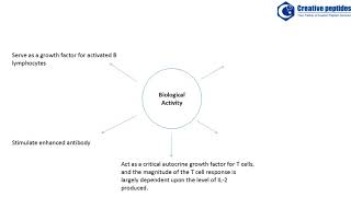 Interleukin 2 Creative Peptides [upl. by Namhar259]